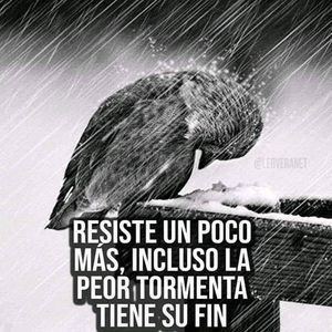 Meet your Posher, Rodriguez